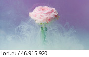 Bright macro photography.Stock footage.Various multicolored flowers on which smoke is blown on a bright background. Стоковое фото, фотограф David Kashakhi / Фотобанк Лори