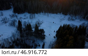 Clip.Helicopter view of green almost leafless trees and snow drifts around with a blue sky. Стоковое фото, фотограф David Kashakhi / Фотобанк Лори