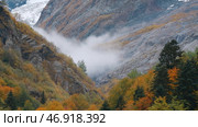 Misty low clouds mysteriously move in mountain autumn valley. Стоковое фото, фотограф David Kashakhi / Фотобанк Лори