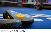 thai Boxing Mitt Training Target Focus Punch Pad Glove on canvas ring in gym or camp. Стоковое фото, фотограф David Kashakhi / Фотобанк Лори