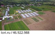 Field of seedlings on the agricultural industry. Стоковое фото, фотограф David Kashakhi / Фотобанк Лори