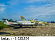 Аэро Л-29 «Дельфин»- чехословацкий учебно-тренировочный самолёт. АвиаПарк Орешково, Воротынск. (2024 год). Редакционное фото, фотограф Василий Мальцев / Фотобанк Лори