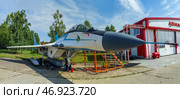 Советский многоцелевой истребитель МиГ-29. АвиаПарк Орешково (2024 год). Редакционное фото, фотограф Василий Мальцев / Фотобанк Лори
