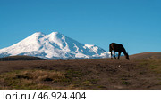 Delightful mountain landscape. A lonely horse in an autumn mountain pasture against the background of snow-covered sleeping volcano and blue sky. Copy space. Стоковое фото, фотограф Роман Дзюбало / Фотобанк Лори