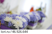 Flowers in glass pots, selective focus. Стоковое фото, фотограф David Kashakhi / Фотобанк Лори
