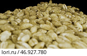 Unroasted Arabian coffee beans falling down on black background, seeds for delicious hot drink preparation. Стоковое фото, фотограф David Kashakhi / Фотобанк Лори
