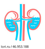 concept white kidneys water. Стоковая иллюстрация, иллюстратор Седых Алена / Фотобанк Лори