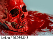 Окровавленный человеческий череп на цветном фоне, крупным планом. Стоковое фото, фотограф Pixel_shot / Фотобанк Лори