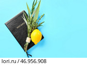 Символы фестиваля Суккот и Библия на цветном фоне. Стоковое фото, фотограф Pixel_shot / Фотобанк Лори