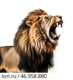 A majestic lion, roaring furiously with its mouth wide open. Its powerful fangs, sharp jaw and detailed mane highlight its strength and natural beauty. The thick mane shimmers in shades of brown, black and gold, creating a striking contrast with the white background. The lion's facial expression commands respect and symbolizes power, leadership and dominance in the wild. Стоковое AI-изображение, AI-художник Анна Кривицкая / Фотобанк Лори