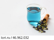 Стеклянная чашка органического синего чая и совок с сухоцветами на белом фоне. Стоковое фото, фотограф Pixel_shot / Фотобанк Лори