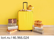 Чемодан с шляпой Санты, украшениями и подарочными коробками возле цветной стены. Концепция рождественских каникул. Стоковое фото, фотограф Pixel_shot / Фотобанк Лори