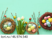 Гнездышки с расписными пасхальными яйцами, тюльпанами и ивовыми ветками на голубом фоне. Стоковое фото, фотограф Pixel_shot / Фотобанк Лори