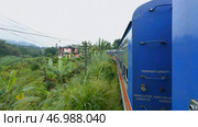 Traveling train in midst of green forest in tropical mountains. Стоковое фото, фотограф David Kashakhi / Фотобанк Лори