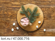 Чашка вкусного рождественского какао с маршмеллоу и веточкой ели на деревянном фоне. Стоковое фото, фотограф Pixel_shot / Фотобанк Лори