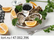 Тарелка вкусных устриц с лимоном и черной икрой на белом фоне. Стоковое фото, фотограф Pixel_shot / Фотобанк Лори