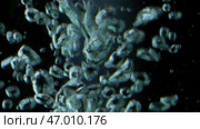 Close up of bubbles of air underwater on a black background. Стоковое фото, фотограф David Kashakhi / Фотобанк Лори