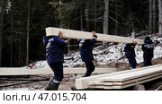 Adult men toss a lot of material on a construction site in the woods (2023 год). Редакционное фото, фотограф David Kashakhi / Фотобанк Лори