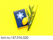 Четыре вида (лулав, хадас, арава, этрог) как символы праздника Суккот и Тора на желтом фоне. Стоковое фото, фотограф Pixel_shot / Фотобанк Лори