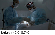 Specialists perform an operation, using medical instruments in operating room. Стоковое фото, фотограф David Kashakhi / Фотобанк Лори