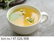 Чашка с травяным чаем на сером фоне. Стоковое фото, фотограф Pixel_shot / Фотобанк Лори