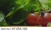 Fresh, juicy tomatoes along with crisp and green lettuce beautifully presented on a wooden surface. Стоковое видео, видеограф Владимир Ковальчук / Фотобанк Лори