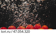 A closeup view of vibrant Red Cherry Tomatoes beautifully arranged on a dark, black background. Стоковое видео, видеограф Владимир Ковальчук / Фотобанк Лори