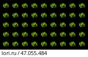 Many abstract 3D spheres in symmetric rows with the pattern of green waves, seamless loop. Стоковая иллюстрация, иллюстратор David Kashakhi / Фотобанк Лори