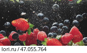 Enjoy the delightful splash of fresh berries in sparkling water for ultimate refreshment. Стоковое видео, видеограф Владимир Ковальчук / Фотобанк Лори