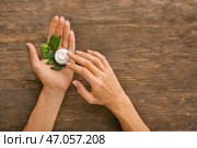 Женские руки с натуральным кремом на деревянном фоне. Стоковое фото, фотограф Pixel_shot / Фотобанк Лори