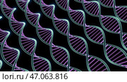 Iridescent colored sinuous genetic codes in animation. Стоковая иллюстрация, иллюстратор David Kashakhi / Фотобанк Лори