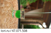 Green alcoholic liquid is poured into glass on summer veranda. Стоковое фото, фотограф David Kashakhi / Фотобанк Лори