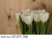 Букет былых тюльпанов крупным планом на деревянном фоне. Стоковое фото, фотограф Оксана Шведкова / Фотобанк Лори