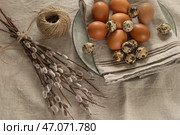 Куриные коричневые яйца в картонной упаковке и ветки вербы (ивы)  на льняной скатерти. Стоковое фото, фотограф Оксана Шведкова / Фотобанк Лори