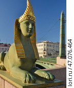 Сфинкс Египетского моста в Санкт-Петербурге (2015 год). Стоковое фото, фотограф Александр Алексеев / Фотобанк Лори