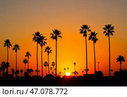 Golden rays of the setting sun filter through silhouetted palm trees, painting the sky in rich oranges and deep purples, ushering in a calm tropical dusk Generative AI. Стоковое AI-изображение, AI-художник Юлия Петровская / Фотобанк Лори