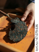 Authentic preparation of traditional herbal medicine, rooted in ancient artisan practices. Стоковое фото, фотограф David Kashakhi / Фотобанк Лори