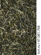 A Texture Background of Dried Green Tea Leaves Featuring Their Rich and Deep Aromatic Qualities. Стоковое фото, фотограф David Kashakhi / Фотобанк Лори