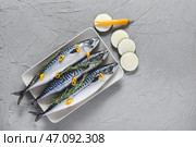 Тарелка с сырой скумбрией рыбой и овощами на сером фоне. Стоковое фото, фотограф Pixel_shot / Фотобанк Лори