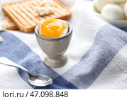Вкусное яйцо всмятку в держателе на столе. Стоковое фото, фотограф Pixel_shot / Фотобанк Лори