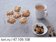 Охлаждающая подставка с овсяным печеньем и чашкой кофе на текстурированном фоне. Стоковое фото, фотограф Pixel_shot / Фотобанк Лори