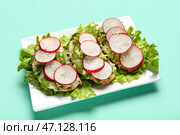 Тарелка с вкусными брускеттами из редьки на бирюзовом фоне. Стоковое фото, фотограф Pixel_shot / Фотобанк Лори