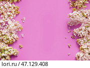 Расцветающие сиреневые цветы на розовом фоне. Стоковое фото, фотограф Pixel_shot / Фотобанк Лори