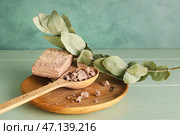 Тарелка с вкусной кунжутной халвой и веткой эвкалипта на цветном деревянном фоне. Стоковое фото, фотограф Pixel_shot / Фотобанк Лори