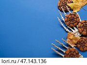 Хеллоуинское паутинное печенье со скелетными руками и опавшими листьями на синем фоне. Стоковое фото, фотограф Pixel_shot / Фотобанк Лори