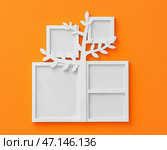 Генеалогическое древо с фоторамками на оранжевой стене. Стоковое фото, фотограф Pixel_shot / Фотобанк Лори