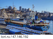 Сухогруз Ocean queen на причале, на фоне привезенных рулонов стали. Редакционное фото, фотограф Яна Савинова / Фотобанк Лори