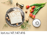 Тарелка пасхального седера с мацой, цветами тюльпана, кипой и чашкой на цветном фоне. Стоковое фото, фотограф Pixel_shot / Фотобанк Лори