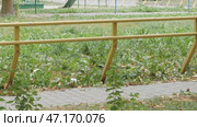 City railings and handrails for pedestrians over the green grass background. Стоковое видео, видеограф Дмитрий Нечаев / Фотобанк Лори