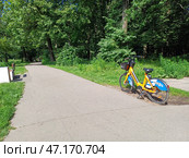 Электровелосипед в лесу. Лосиный остров. Район Гольяново. Москва (2024 год). Редакционное фото, фотограф lana1501 / Фотобанк Лори
